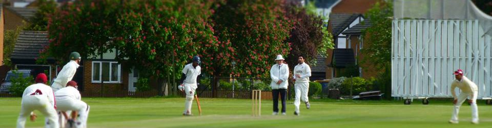 Uxbridge Cricket players in action